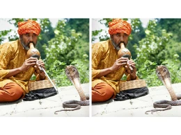 Şəkildə 3 fərqi kim tapar? - MƏNTİQ TESTİ