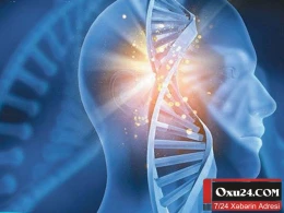 Hüceyrələrimiz davamlı yenilənirsə niyə yaşlanırıq?