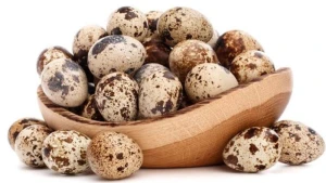 Sonsuzluğun çarəsi olan bildirçin yumurtasının inanılmaz faydaları…