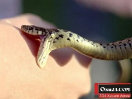 İlansancma zamanı ilk tibbi yardım