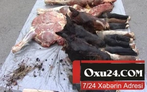 Azərbaycanda “ət işbazları” yenə iş başında - 250 kq at əti aşkarlandı