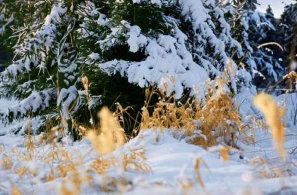 Şəkildəki adamı  tapın - MARAQLI TEST