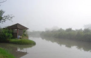 Daha bir nəfər dəli Kürün qurbanı oldu