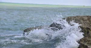 Dəniz suyunun sağlamlaşdırıcı təsiri