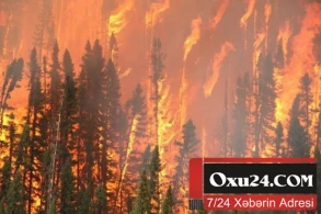 Azərbaycanda meşə yanır - SON DƏQİQƏ