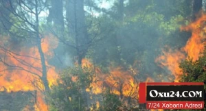 Şəmkirdə meşə yanğını başladı - Helikopter cəlb olunub