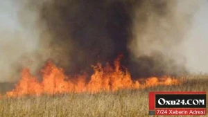 Füzulidə taxıl sahəsi yanıb