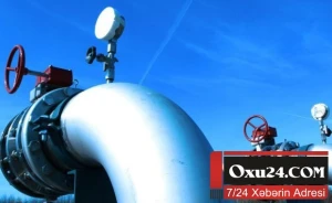 Məmur qızı: ərim məni döyür və dostları ilə cinsi əlaqəyə girməyə məcbur edirdi