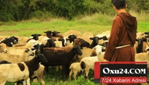 Zaqatalada itkin düşən çobanın meyiti tapıldı