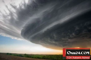 Zəlzələdən öncə təbiətdə nə baş verir? - Heyvanlara diqqət!