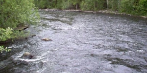 Zaqatalada leysan: FHN helikopter göndərdi