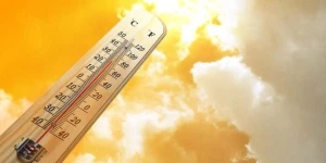 Alimlərdən xəbərdarlıq - Növbəti beş il anomal istilər olacaq