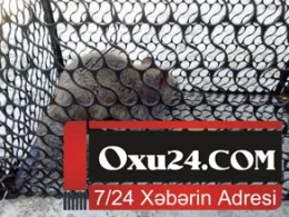 Qaxda qeyri-adi heyvan tapılıb - FOTO