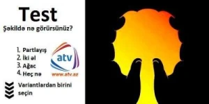 Şəkildə nə görürsünüz? - Sən kimsən? Psixoloji TEST