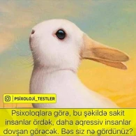 Siz ilk nə gördüz? - PSİXOLOJİ TEST