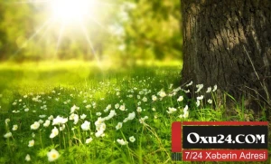 Sabah hava necə olacaq?