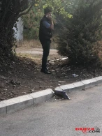 Bakıda şagirdlərə əxlaqsız təkliflər edən şəxs saxlanıldı - FOTO