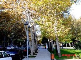 Oktyabr ayına HAVA PROQNOZU açıqlandı