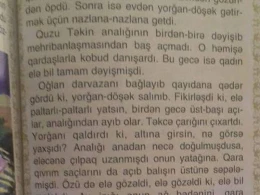 İbtidai sinif dərsliyində biabırçılıq: "Analığı elə çılpaq uzanmışdı ki, elə bil mələkdir" -