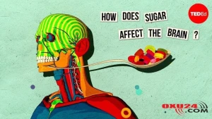 Beyni 4 gün ərzində pozan qidalar