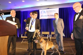 Azərbaycan itləri ABŞ-da mükafat aldı - FOTOLAR