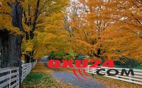 Səyahətə çıxanlar üçün hava proqnozu