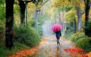 Sabahın havası - Yağış, qar yağacaq