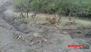 Kolları məhv edən şəxs 32 min manat cərimələnib