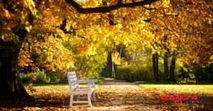 İstirahət günlərində səyahətə çıxanlar üçün hava proqnozu