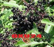 "Xərçəng"in tam müalicəsi - Xəstə üzərində sınanılmış resept