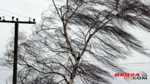 Hava şəraiti ilə bağlı sərnişin və sürücülərə VACİB XƏBƏRDARLIQ