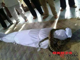 ŞOK görüntü: Nəhəng ilan ölünün boğazına dolandı - FOTOLAR 18+