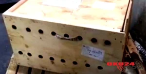 Hava limanında sahibsiz qalan qutudan çıxanlar hamını təəccübləndirdi – Foto