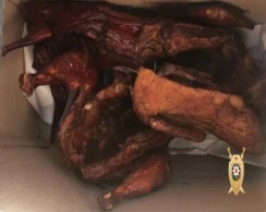 Bakıda insanları zəhərləyən obyekt aşkar edildi - FOTOLAR