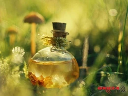 Baş ağrıları üçün sınanılmış məlhəm resepti - Ağrını dərhal kəsir