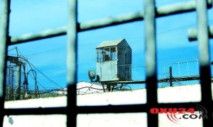 2019-dan əfv gözləntisi