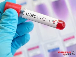 Gürcüstanda “donuz qripi”ndən ölənlərin sayı 8 nəfərə çatıb