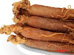 Cinsi zəifliyi aradan qaldıran MÖCÜZƏLİ BİTKİ