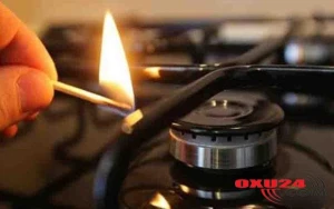 Qadın xəstəliklərinin ən yaxşı dərmanı - Mioma və kistalardan bu qarışımla azad olun