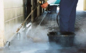 Bakıda “donuz qripi” fırıldaqçıları peyda olub - Əhaliyə xəbərdarlıq