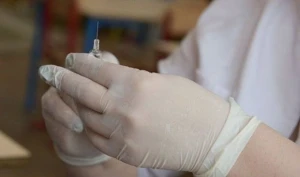 Ermənilər "donuz qripi"nə yoluxdu: Kütləvi şəkildə qırılırlar