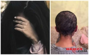 İcra Hakimiyyətindən XƏBƏRDARLIQ - Ağaclar təhlükəli ola bilər