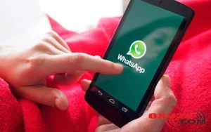 Səhiyyə Nazirliyindən “Whatsapp”da yayılan səslə bağlı - Rəsmi açıqlama