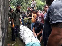 ŞOk : 700  kiloluq timsaq qadını uddu, ölkə  təşvişə  düşdü +VİDEO