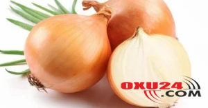 Agentlik ixracatçılara xəbərdarlıq etdi: Soğanın mənşəyinə diqqət yetirin