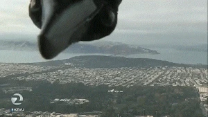 Canlı yayımda GÖZLƏNİLMƏZ QONAQ - Veriliş dayandı