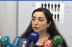 "Ölkədə H1N1 virusu ilə bağlı cəmi bir laborotoriya var" - RƏSMİ