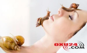 Dərinin “ən bahalı kremi”: üzdə gəzən ilbizlər