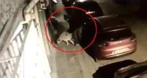 Hələ belə iyrənc hadisə olmamışdı