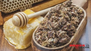 Xərçəngi və bir çox xəstəlikləri yox edən 2000 illik MÖCÜZƏVİ VASİTƏ - Alim AÇIQLADI